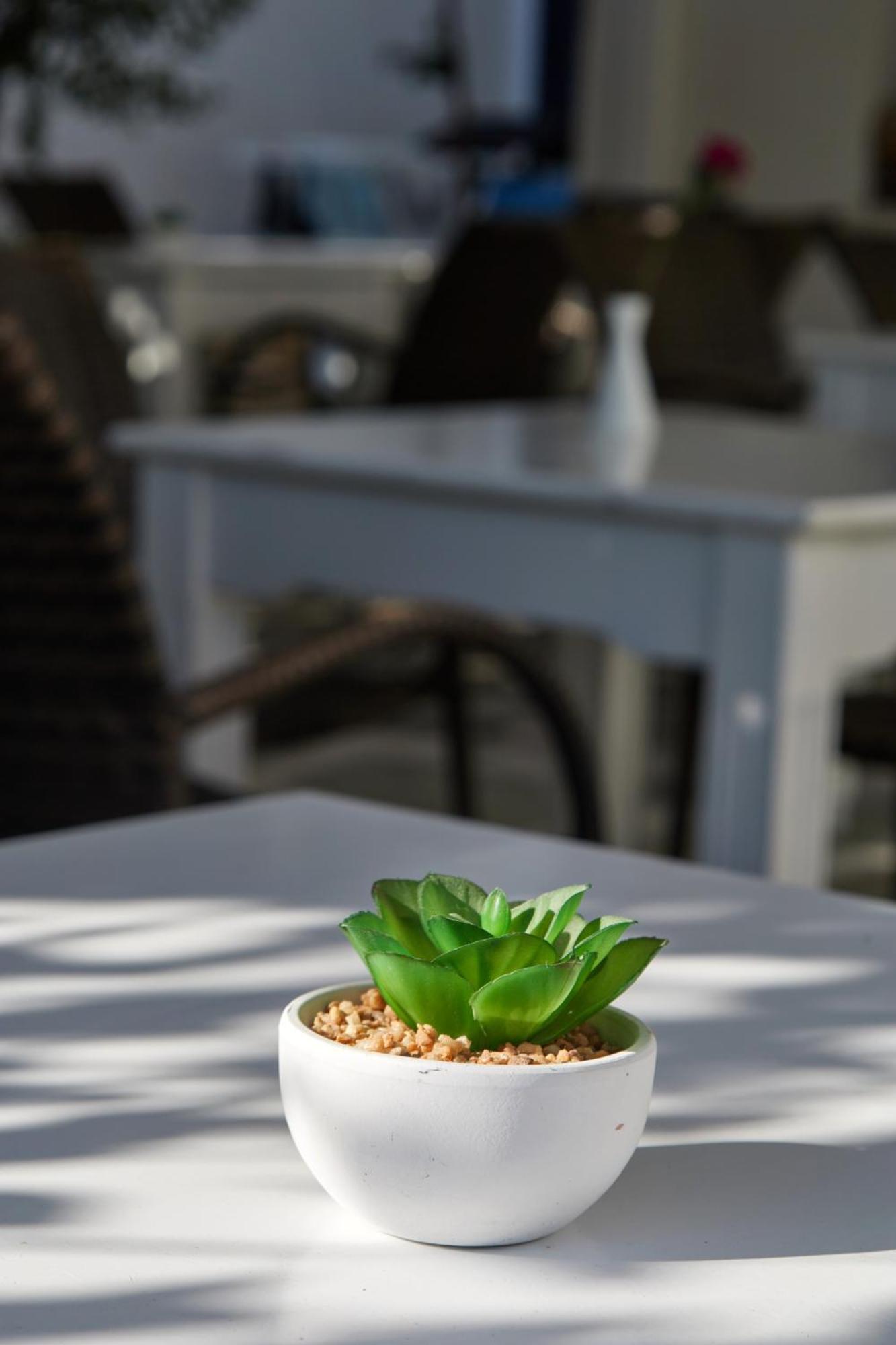 Theologos Place Antiparos Town Extérieur photo